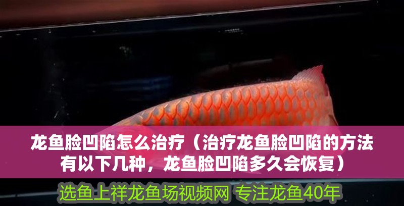 龍魚臉凹陷怎么治療（治療龍魚臉凹陷的方法有以下幾種，龍魚臉凹陷多久會恢復）