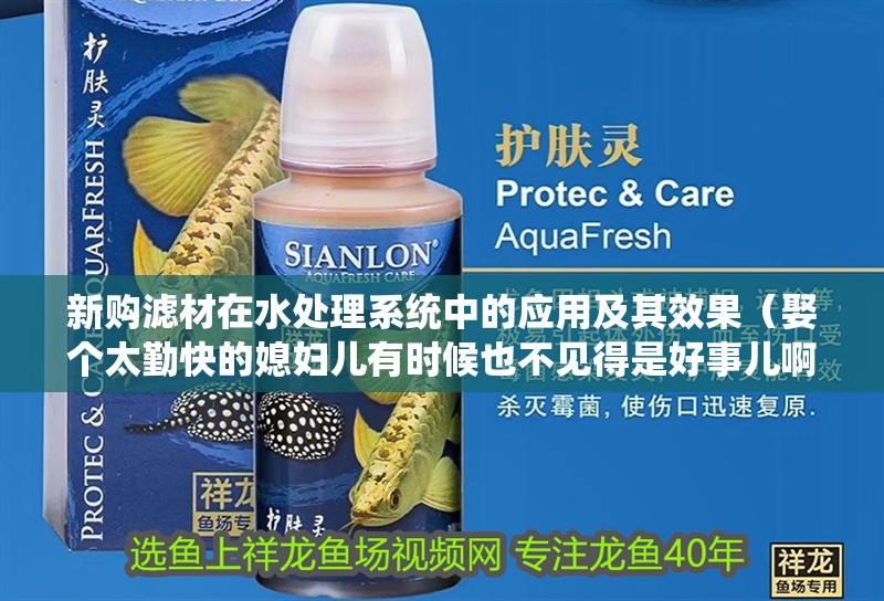 新購濾材在水處理系統(tǒng)中的應(yīng)用及其效果（娶個太勤快的媳婦兒有時候也不見得是好事兒啊）