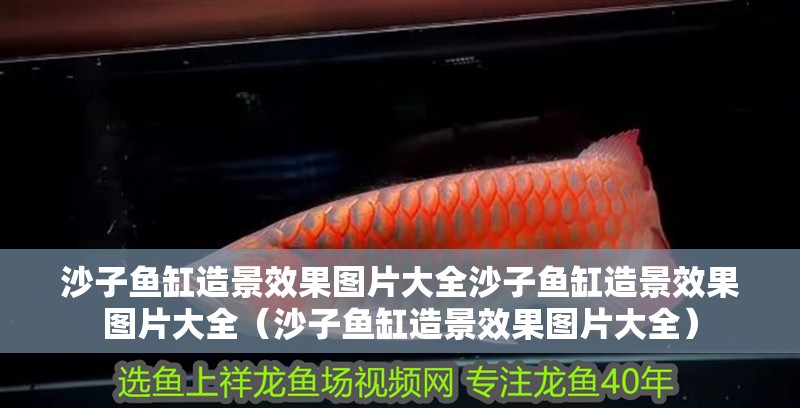 沙子魚缸造景效果圖片大全沙子魚缸造景效果圖片大全（沙子魚缸造景效果圖片大全）