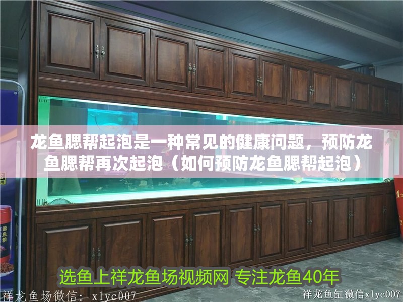 龍魚腮幫起泡是一種常見的健康問題，預防龍魚腮幫再次起泡（如何預防龍魚腮幫起泡）