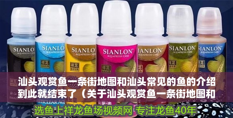 汕頭觀賞魚一條街地圖和汕頭常見的魚的介紹到此就結(jié)束了（關(guān)于汕頭觀賞魚一條街地圖和汕頭常見的魚）