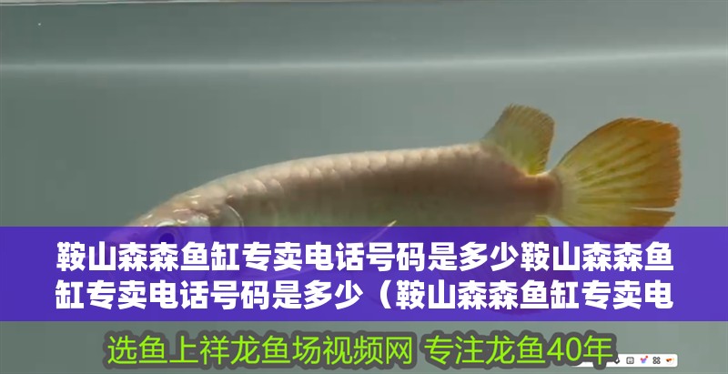 鞍山森森魚缸專賣電話號碼是多少鞍山森森魚缸專賣電話號碼是多少（鞍山森森魚缸專賣電話號碼是多少）