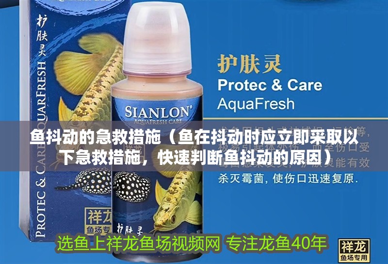 魚抖動的急救措施（魚在抖動時應立即采取以下急救措施，快速判斷魚抖動的原因）