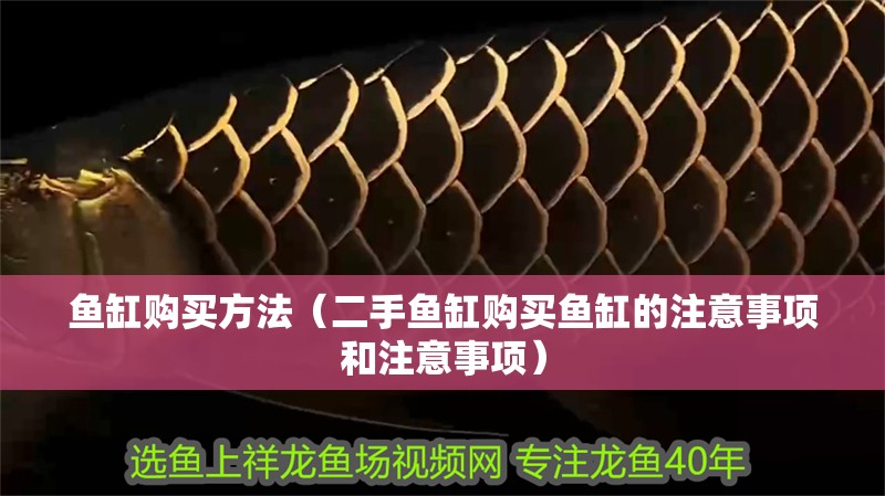 魚缸購(gòu)買方法（二手魚缸購(gòu)買魚缸的注意事項(xiàng)和注意事項(xiàng)）