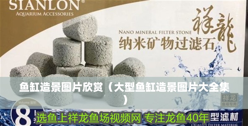 魚缸造景圖片欣賞（大型魚缸造景圖片大全集）