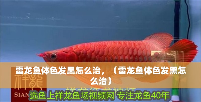 雷龍魚體色發黑怎么治，（雷龍魚體色發黑怎么治）