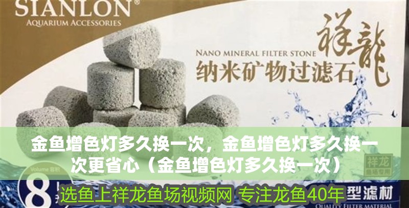 金魚增色燈多久換一次，金魚增色燈多久換一次更省心（金魚增色燈多久換一次）
