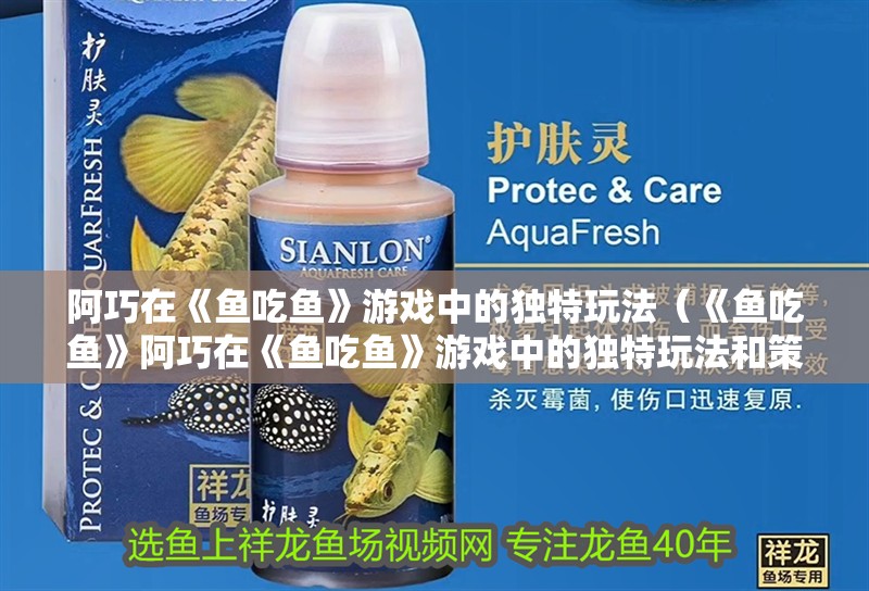 阿巧在《魚吃魚》游戲中的獨特玩法（《魚吃魚》阿巧在《魚吃魚》游戲中的獨特玩法和策略）
