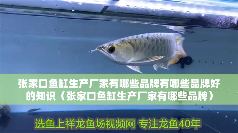 張家口魚缸生產(chǎn)廠家有哪些品牌有哪些品牌好的知識（張家口魚缸生產(chǎn)廠家有哪些品牌）