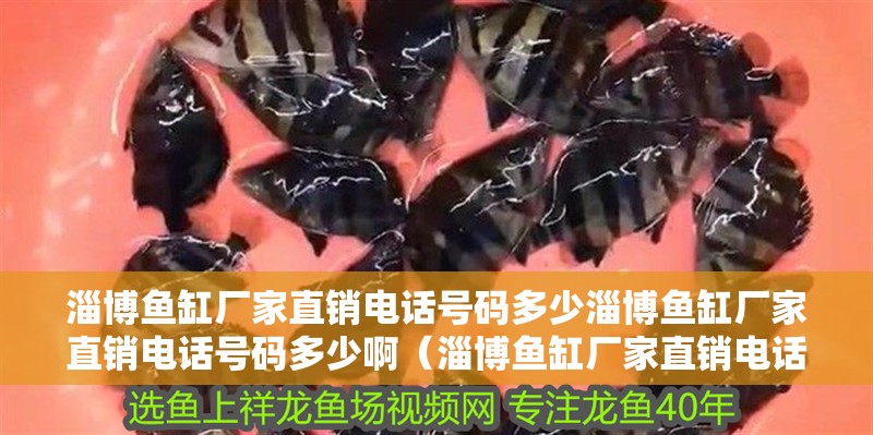 淄博魚缸廠家直銷電話號碼多少淄博魚缸廠家直銷電話號碼多少?。ㄗ筒~缸廠家直銷電話號碼多少）