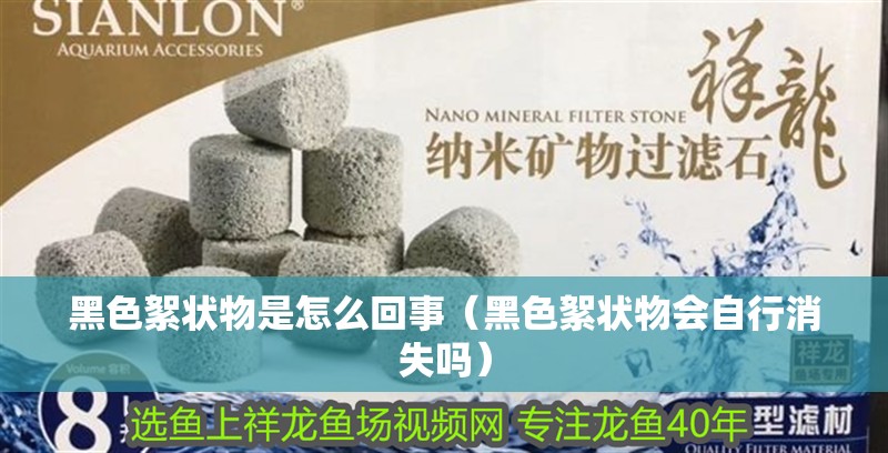 黑色絮狀物是怎么回事（黑色絮狀物會自行消失嗎）