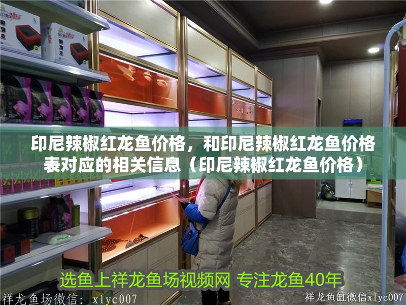 印尼辣椒紅龍魚價(jià)格，和印尼辣椒紅龍魚價(jià)格表對(duì)應(yīng)的相關(guān)信息（印尼辣椒紅龍魚價(jià)格）