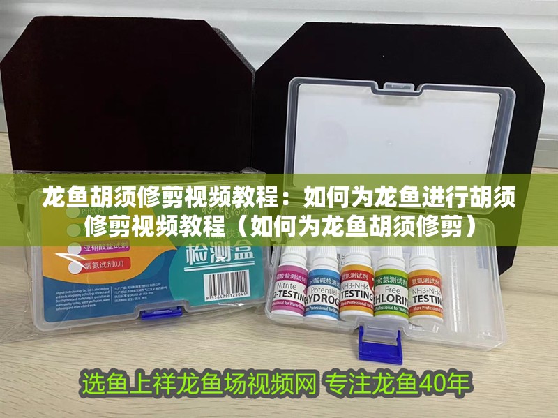 龍魚胡須修剪視頻教程：如何為龍魚進行胡須修剪視頻教程（如何為龍魚胡須修剪）