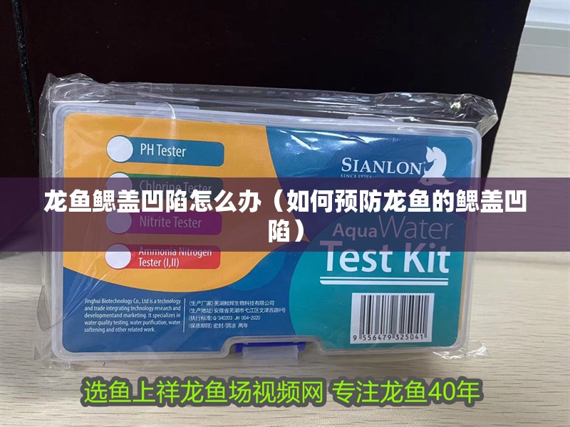 龍魚鰓蓋凹陷怎么辦（如何預防龍魚的鰓蓋凹陷）