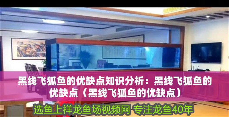 黑線飛狐魚的優(yōu)缺點知識分析：黑線飛狐魚的優(yōu)缺點（黑線飛狐魚的優(yōu)缺點） 黑線飛狐魚的優(yōu)缺點知識分析：黑線飛狐魚的優(yōu)缺點（黑線飛狐魚的優(yōu)缺點） 觀賞魚百科