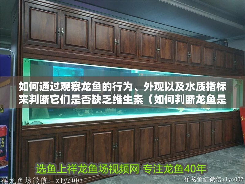 如何通過觀察龍魚的行為、外觀以及水質指標來判斷它們是否缺乏維生素（如何判斷龍魚是否缺乏維生素）