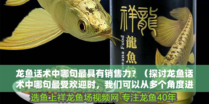 龍魚話術中哪句最具有銷售力？（探討龍魚話術中哪句最受歡迎時，我們可以從多個角度進行分析）
