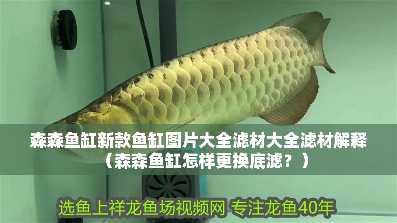 森森魚缸新款魚缸圖片大全濾材大全濾材解釋（森森魚缸怎樣更換底濾？）