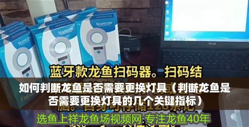 如何判斷龍魚是否需要更換燈具（判斷龍魚是否需要更換燈具的幾個關鍵指標）
