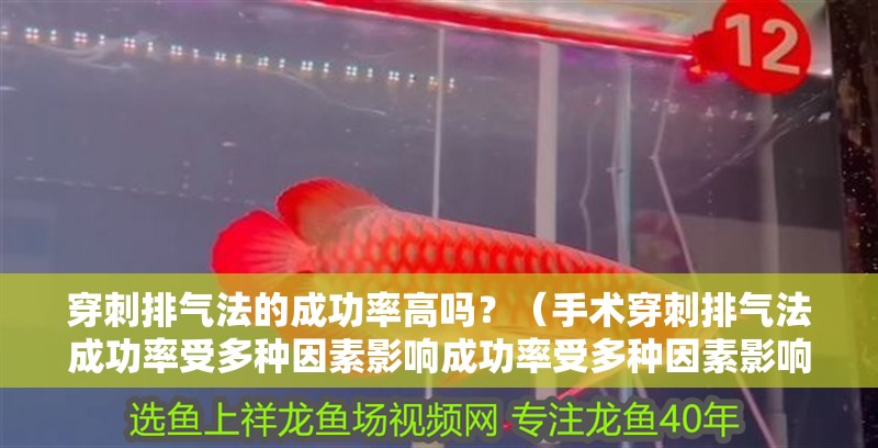 穿刺排氣法的成功率高嗎？（手術穿刺排氣法成功率受多種因素影響成功率受多種因素影響）