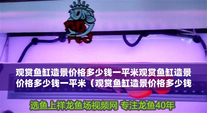 觀賞魚缸造景價格多少錢一平米觀賞魚缸造景價格多少錢一平米（觀賞魚缸造景價格多少錢一平）