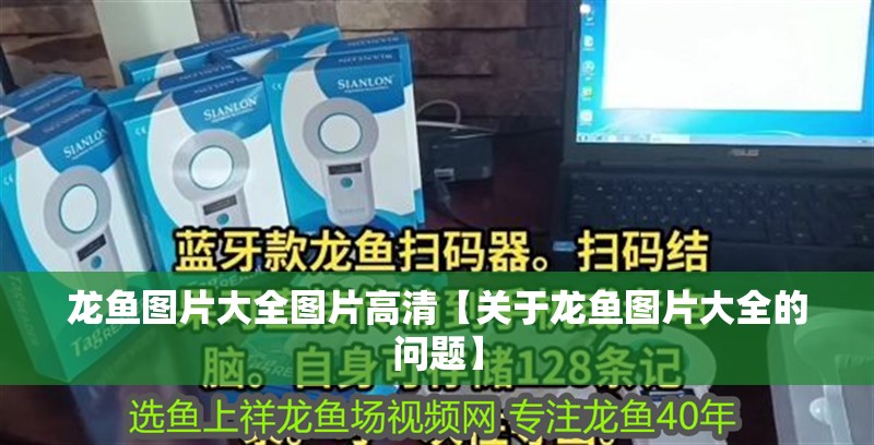 龍魚圖片大全圖片高清【關于龍魚圖片大全的問題】