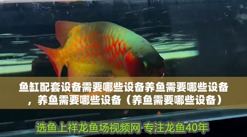 魚缸配套設備需要哪些設備養魚需要哪些設備，養魚需要哪些設備（養魚需要哪些設備）