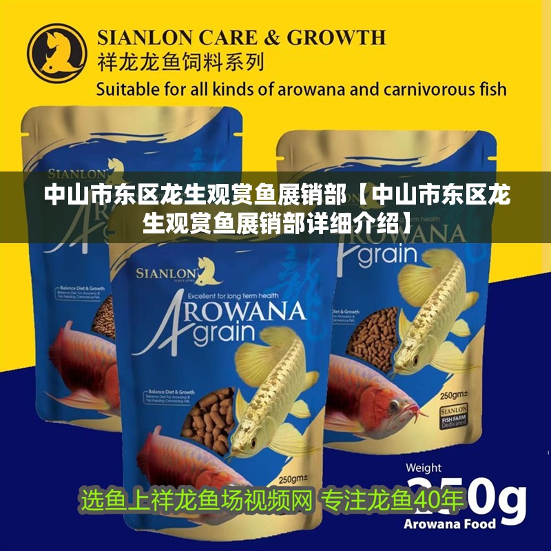 中山市東區龍生觀賞魚展銷部【中山市東區龍生觀賞魚展銷部詳細介紹】