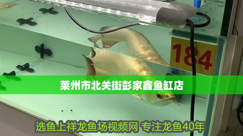 萊州市北關街彭家鑫魚缸店