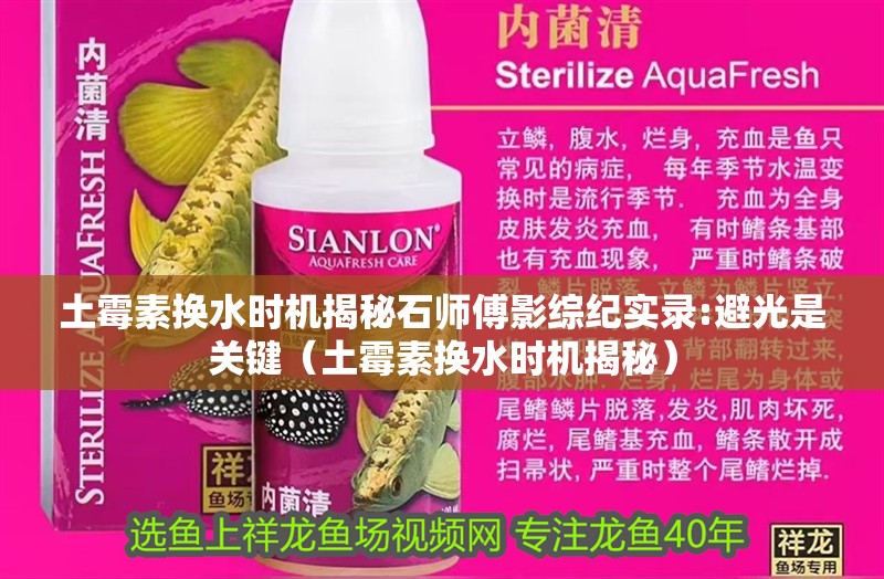 土霉素換水時機揭秘石師傅影綜紀實錄:避光是關鍵（土霉素換水時機揭秘）