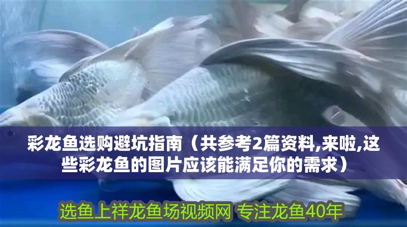 彩龍魚選購避坑指南（共參考2篇資料,來啦,這些彩龍魚的圖片應該能滿足你的需求）