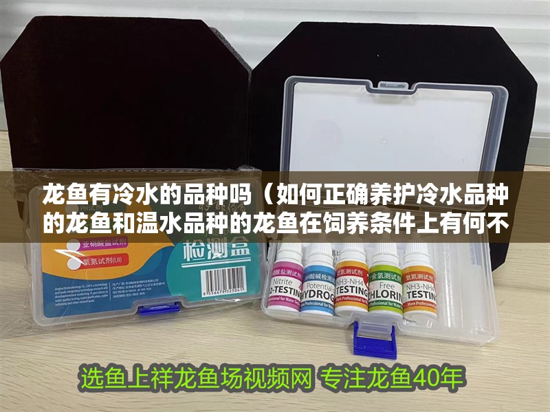 龍魚有冷水的品種嗎（如何正確養(yǎng)護冷水品種的龍魚和溫水品種的龍魚在飼養(yǎng)條件上有何不同）