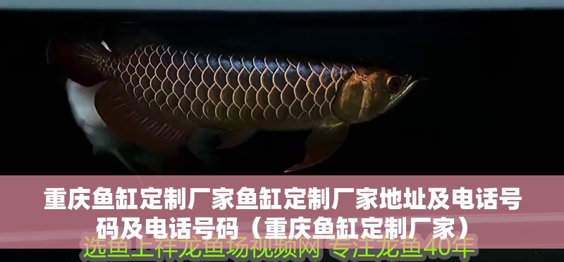 重慶魚缸定制廠家魚缸定制廠家地址及電話號碼及電話號碼（重慶魚缸定制廠家）