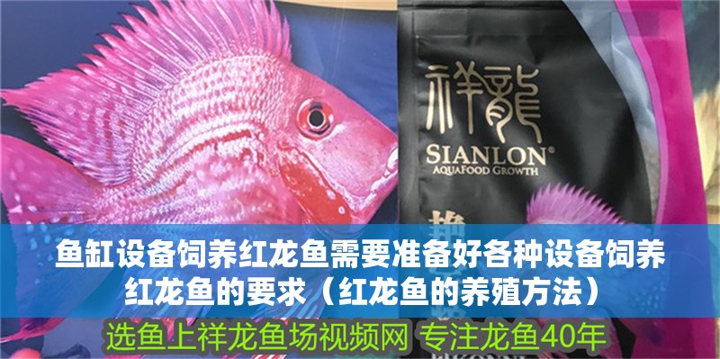 魚(yú)缸設(shè)備飼養(yǎng)紅龍魚(yú)需要準(zhǔn)備好各種設(shè)備飼養(yǎng)紅龍魚(yú)的要求（紅龍魚(yú)的養(yǎng)殖方法）