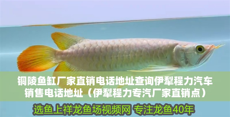銅陵魚缸廠家直銷電話地址查詢伊犁程力汽車銷售電話地址（伊犁程力專汽廠家直銷點）