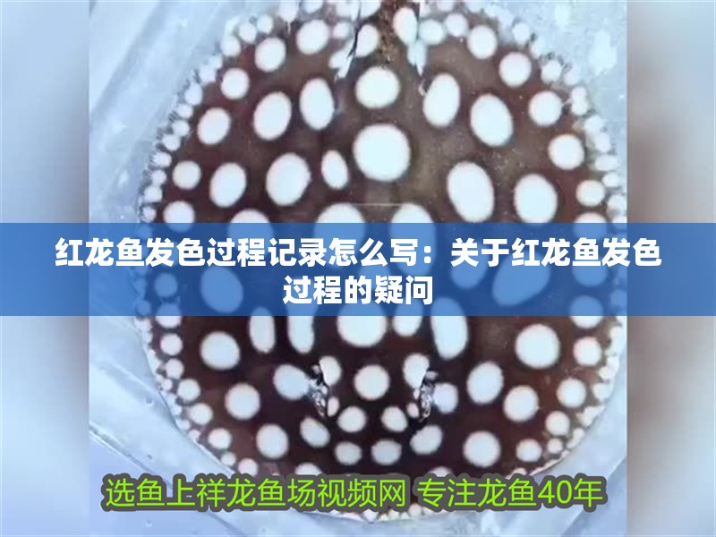 紅龍魚發色過程記錄怎么寫：關于紅龍魚發色過程的疑問