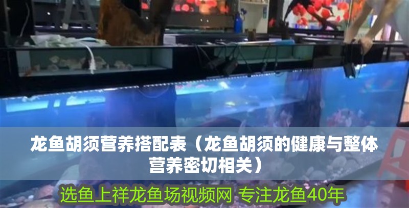 龍魚胡須營養(yǎng)搭配表（龍魚胡須的健康與整體營養(yǎng)密切相關(guān)）