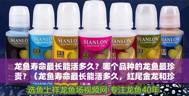 龍魚壽命最長能活多久？哪個品種的龍魚最珍貴？（龍魚壽命最長能活多久，紅尾金龍和珍珠龍壽命最能打）