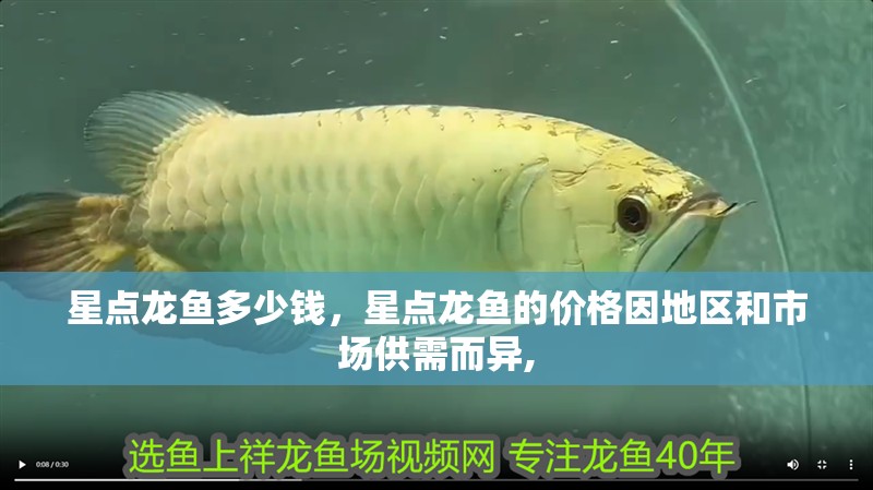 星點龍魚多少錢，星點龍魚的價格因地區和市場供需而異,