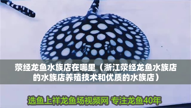 滎經龍魚水族店在哪里（浙江滎經龍魚水族店的水族店養殖技術和優質的水族店）