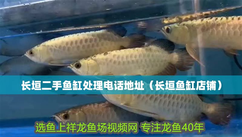 長垣二手魚缸處理電話地址（長垣魚缸店鋪）