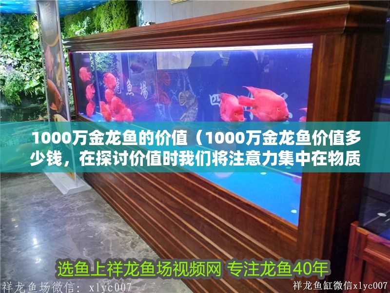 1000萬金龍魚的價值（1000萬金龍魚價值多少錢，在探討價值時我們將注意力集中在物質上）