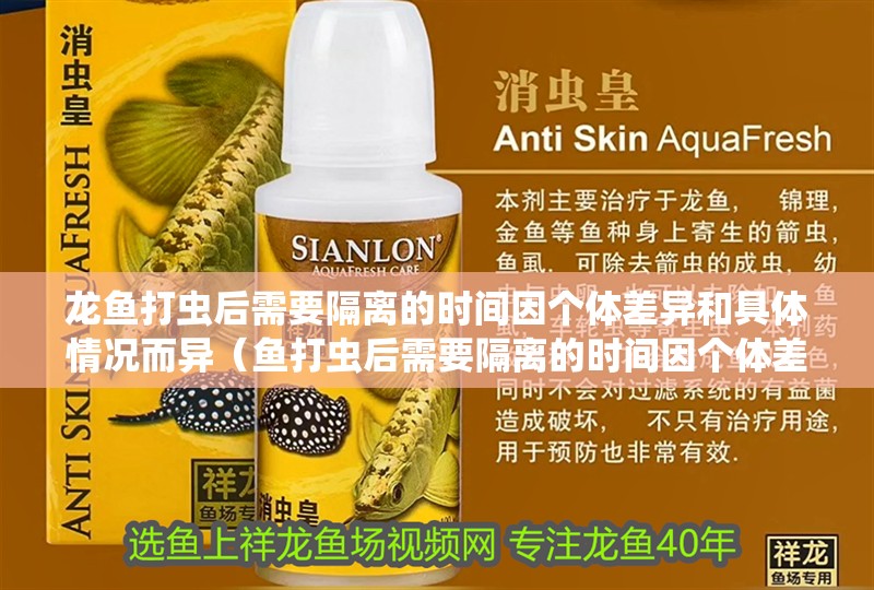 龍魚打蟲后需要隔離的時間因個體差異和具體情況而異（魚打蟲后需要隔離的時間因個體差異和具體情況而異）