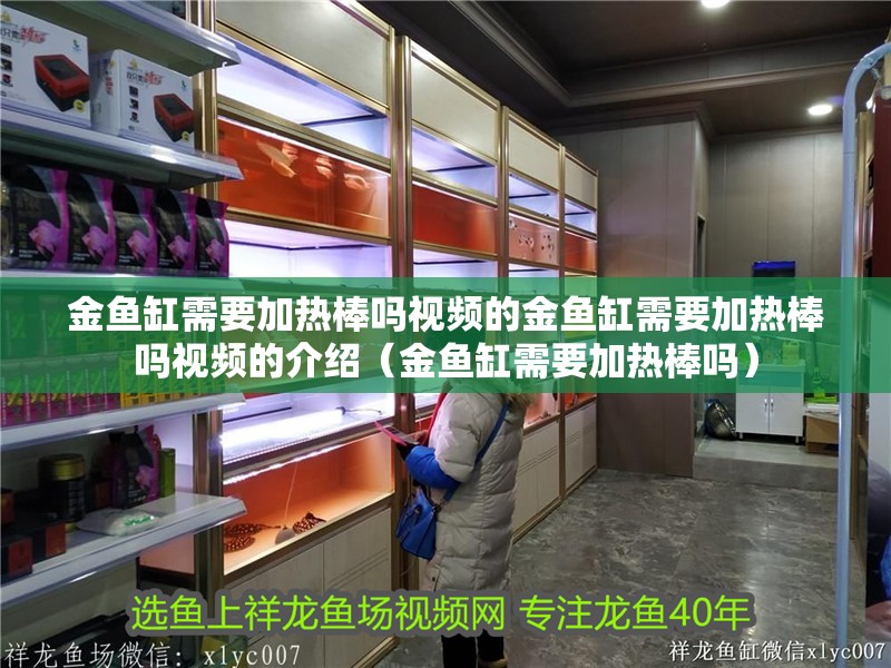 金魚缸需要加熱棒嗎視頻的金魚缸需要加熱棒嗎視頻的介紹（金魚缸需要加熱棒嗎）