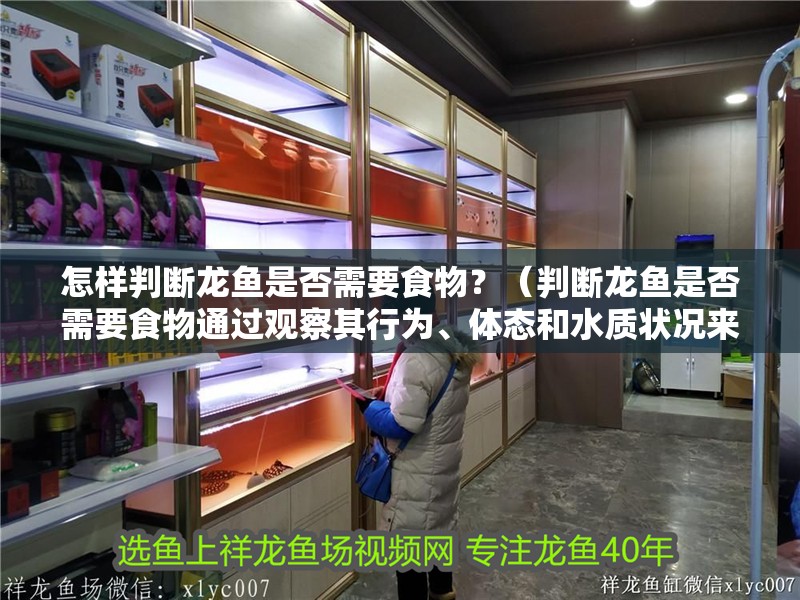 怎樣判斷龍魚是否需要食物？（判斷龍魚是否需要食物通過觀察其行為、體態(tài)和水質(zhì)狀況來進行）