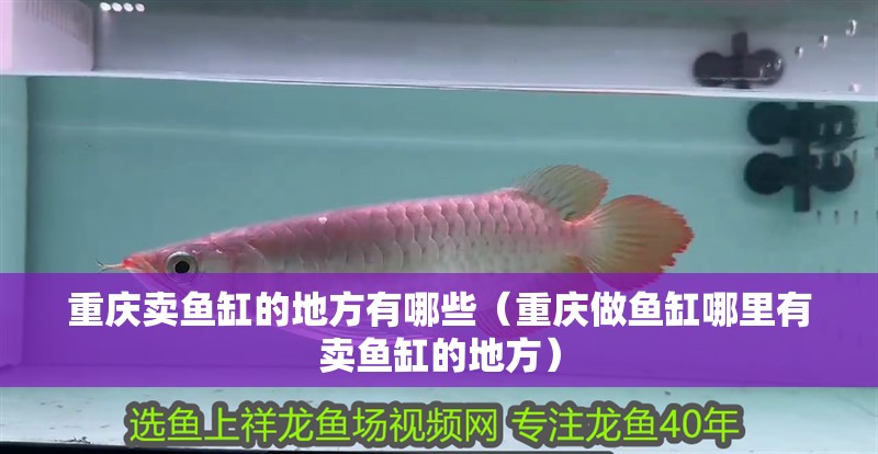 重慶賣魚缸的地方有哪些（重慶做魚缸哪里有賣魚缸的地方）