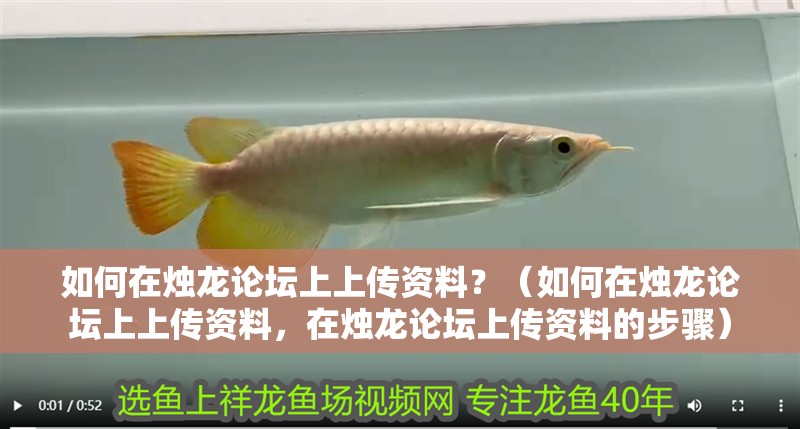 如何在燭龍論壇上上傳資料？（如何在燭龍論壇上上傳資料，在燭龍論壇上傳資料的步驟）