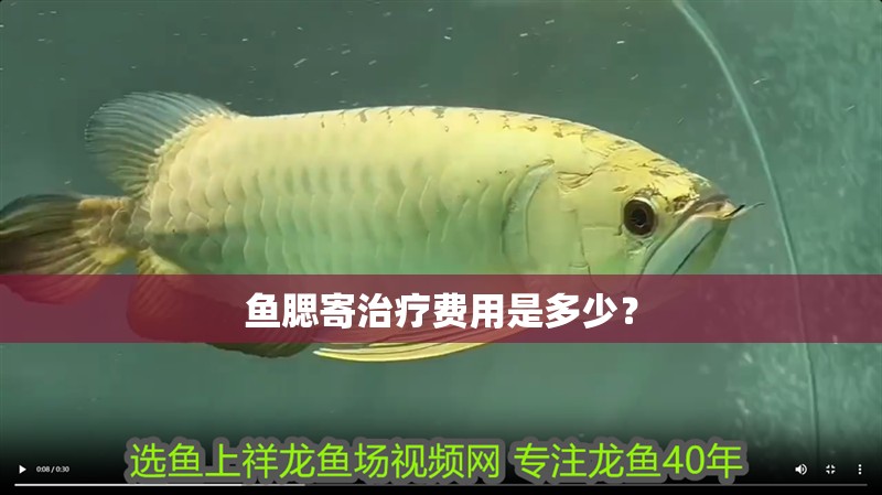 魚腮寄治療費用是多少？