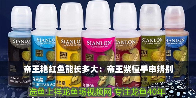 帝王艷紅魚能長多大：帝王紫檀手串辨別