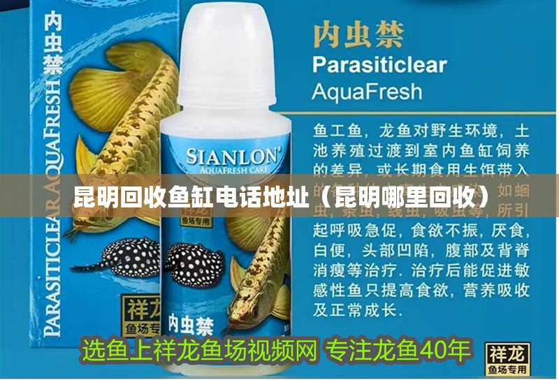 昆明回收魚缸電話地址（昆明哪里回收）
